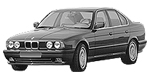 BMW E34 P0291 Fault Code